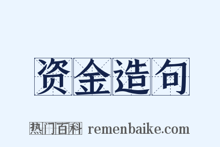 资金造句是什么意思的图片